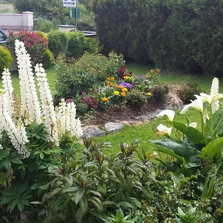 Riverwalk House Bed & Breakfast Oughterard