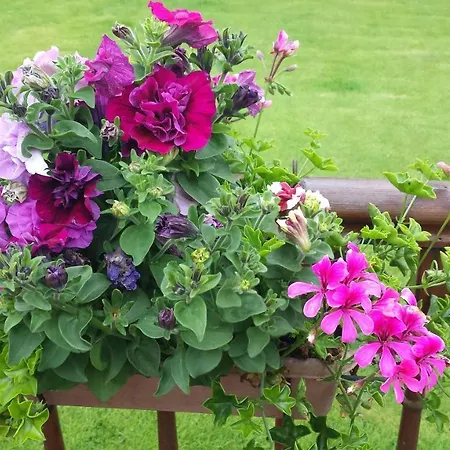 Riverwalk House Oughterard