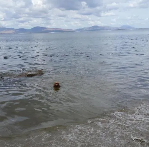 Riverwalk House 4* Oughterard