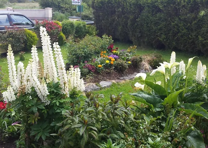 Riverwalk House Bed & Breakfast Oughterard