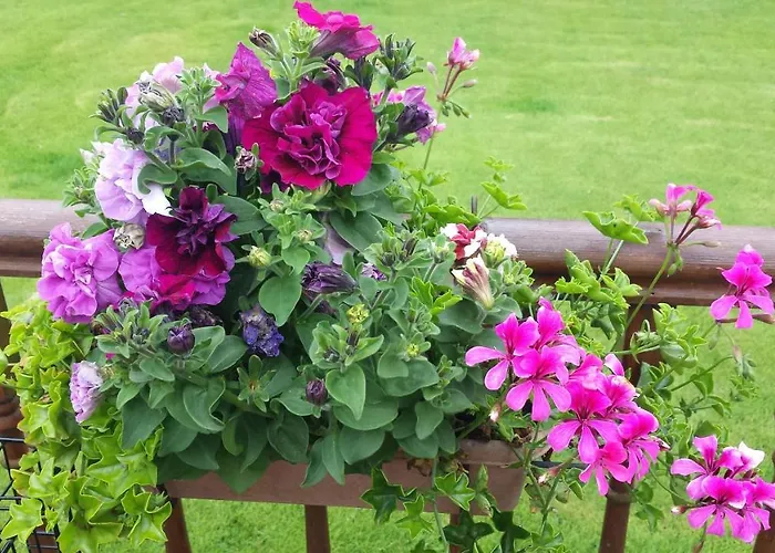 Riverwalk House Oughterard